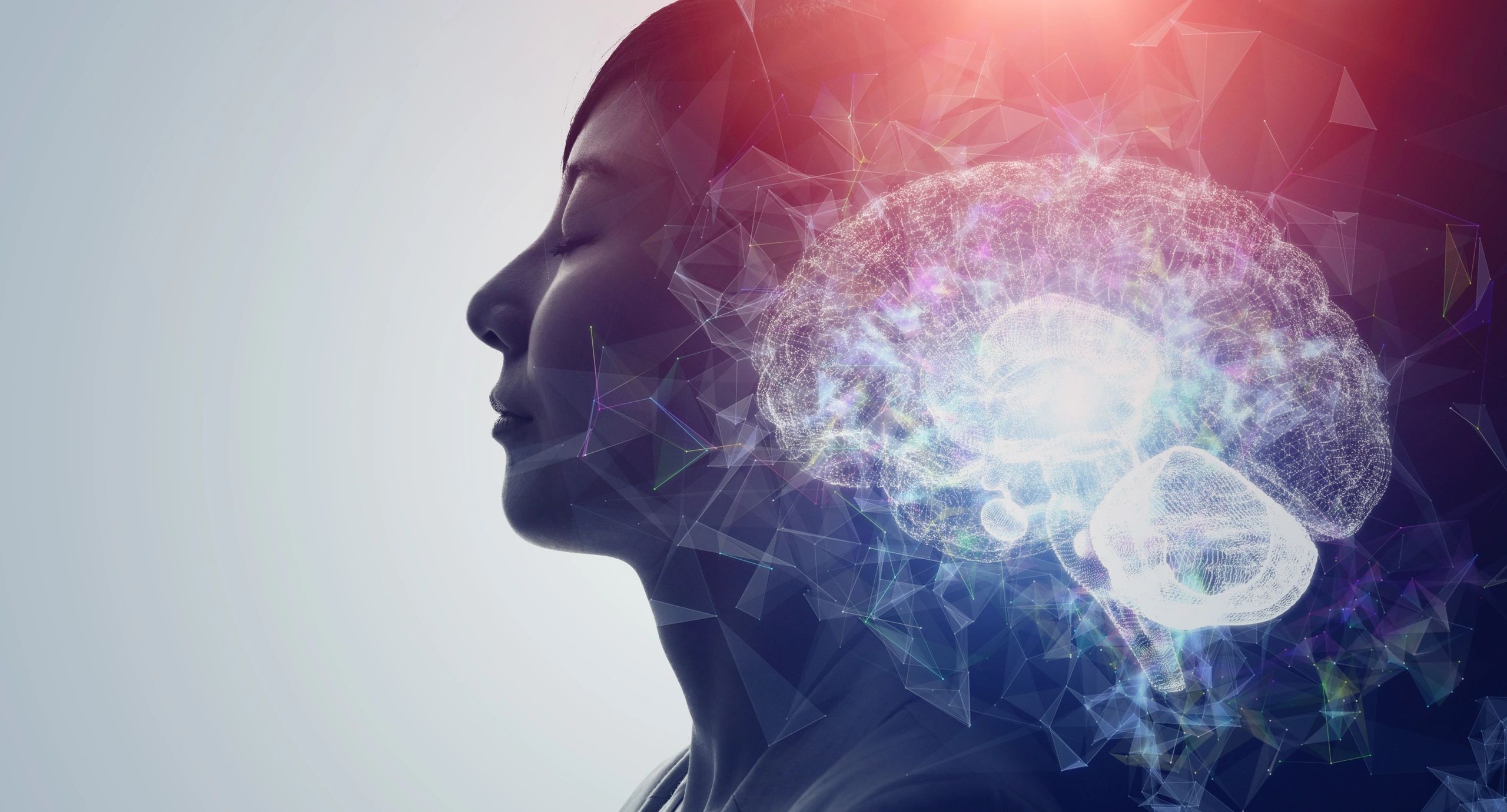 PTSD Recovery for Veterans
